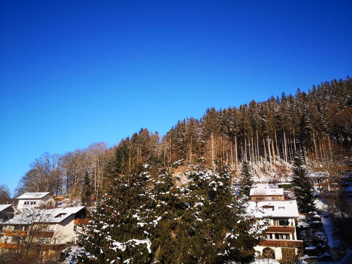 Ferien Am Wald Apartment Baiersbronn Luaran gambar